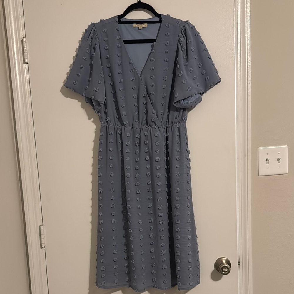 Blue Swiss Dot Midi Dress